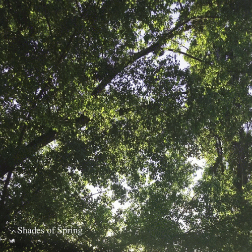 Along Memories : Shades of Spring